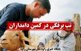 ⚠️ اطلاعیه مهم و هشدار شبکه دامپزشکی شهرستان زاوه ⚠️ ⚠️ اطلاعیه مهم و هشدار شبکه دامپزشکی شهرستان زاوه ⚠️